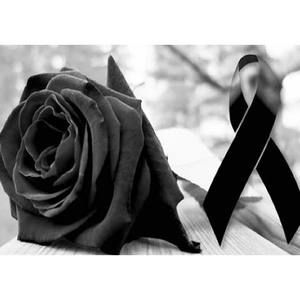 Meet your Posher, Leo